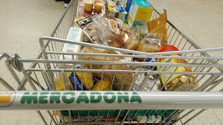 Compra 🛒 en Mercadona 🛒 16195 € 💸👛💸 [upl. by Rise]