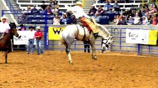 Ranch Broncs  2019 32nd Coors Cowboy Club Ranch Rodeo Friday [upl. by Nyloc977]