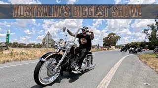 Aussie Vicla Nationals 2022 Harley Davidson [upl. by Aramoiz]