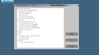 DSG Advanced ID DSG6 DQ250 VCDS Advanced ID [upl. by Cadman]