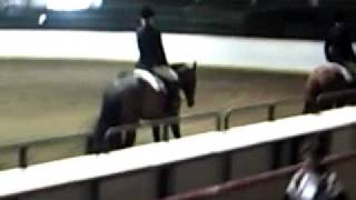 INVITATION ONLY TOP 10 CONGRESS ALL AROUND GELDING [upl. by Aleen]