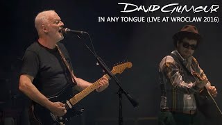 David Gilmour  In Any Tongue Live at Wroclaw 2016 [upl. by Bride]