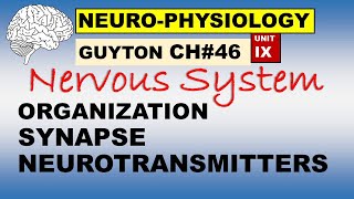 Ch46 Physiology Guyton  Neurophysiology  Organization  Synapses  Neurotransmitters [upl. by Esalb]