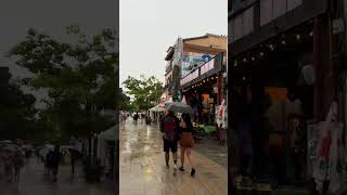 La Quinta Avenida  Playa del Carmen 🌴🌧️🩵 [upl. by Isoj]