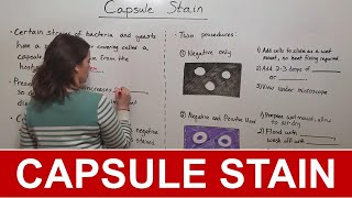 Capsule Stain [upl. by Esinej]