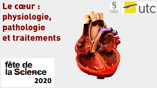 Le cœur  physiologie pathologie et traitements [upl. by Atnwahsal772]