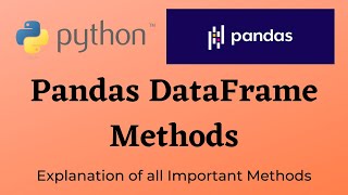 Python Pandas DataFrame Methods [upl. by Abla]