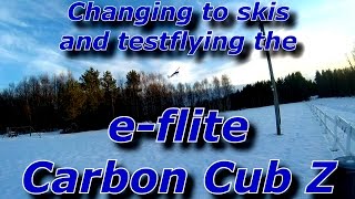 Changing to skis on the Carbon Cub Z [upl. by Andert61]