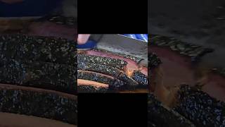 brisket bbq foryou fyp shorts asmr outdoorcooking meat delicious food cooking chef [upl. by Aramat]