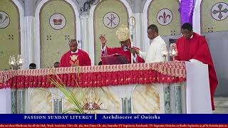 2022 Palm Sunday Liturgy  Archdiocese of Onitsha [upl. by Morrie903]