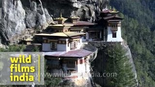 Taktsang monastery  famous Buddhist sacred site in Bhutan [upl. by Ahsyla]