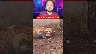 Billu ke pet par laat mardi 😂 funny comedy memes [upl. by Ym]