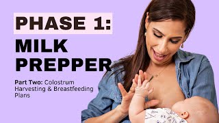 Mastering Breastfeeding The Ultimate FREE Online Class for New Moms MILK PREPPER Part 2 [upl. by Brodeur]