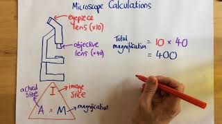 Microscope Calculations  p14 [upl. by Skeie]