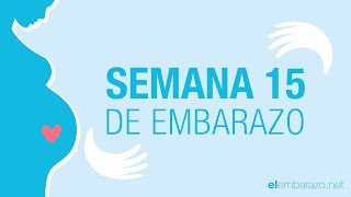 Semana 15 de embarazo  15 semanas de embarazo  El embarazo semana a semana [upl. by Elmira]