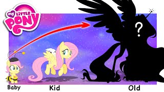 My Little Pony Growing Up Evolution  GO WOW [upl. by Atsirak686]