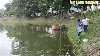 D C Lake Tangail viralvideo fishing viralshorts villagefishing viralreels fishingshorts [upl. by Frulla444]