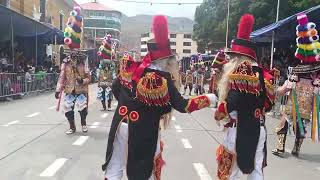 huallayco vida en la plaza de mayor [upl. by Iral]