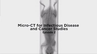 MicroCT for Infectious Disease and Cancer Studies Episode 2 Preclinical Imaging [upl. by Eentruoc81]