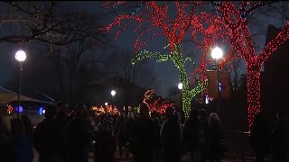 A la venta los boletos para ZooLights en el Zoológico de Lincoln Park [upl. by Jolynn511]