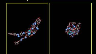 Liquidcrystal Conformations [upl. by Ysirhc]