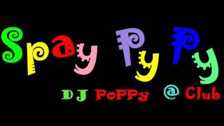 DJPoPPy Boom Boom Mama [upl. by Hubert476]