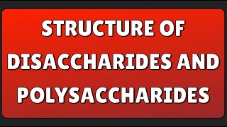 Structure of Disaccharides and Polysaccharides [upl. by Leanor]