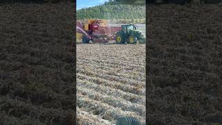 Tractor 6250R John Deere grimme johndeere [upl. by Ennagrom]