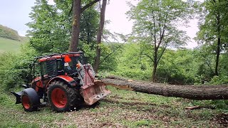 Prvá ťažba dreva na urbári s Zetorom Proxima 110 plus Stihl ms 500i Amles Forestwork Felling oak [upl. by Dlareg]