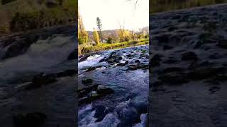 Beautiful Autumn in Aesch Baselland Switzerland 🌊🎶🍁🧘‍♀️🌳🍂🌲😍🇨🇭 [upl. by Lebasiairam]