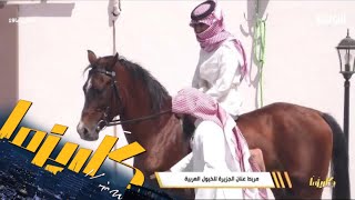 تراكيب الخيل العربية الأصلية  د أنور المطيري كاريزما19 [upl. by Nilrah]