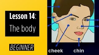 Beginner Levels  Lesson 14 The Body [upl. by Hofmann]