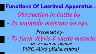 Management of Nasolacrimal Duct Obstruction in Cattle by quotCatheterizationquot [upl. by Harwin]