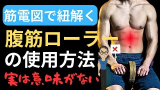 【筋トレ科学】腹筋ローラーだけで腹筋群はデカくなるの？ 腹筋ローラーで筋肥大させる方法を解説 [upl. by Arabele]