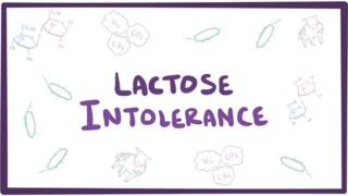 Lactose intolerance  causes symptoms diagnosis treatment amp pathology [upl. by Florina381]