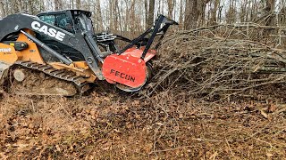 Forestry Mulching with the Case DL550 Minotaur Fecon and Dirt Perfect [upl. by Prochoras768]