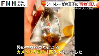 【独自】口から虫の足が…揚げ餅にカメムシ1匹混入か？シャトレーゼ「防虫対策の徹底を図る」パッキング工程で混入と推測 [upl. by Ardnuasac]