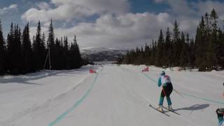 SkiCross  Lofsdalen Sweden 2017 [upl. by Siravaj]