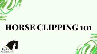 How to Clip Your Horse  Styles Clippers Blades Techniques Clipping Prep and Skin Care [upl. by Denae]