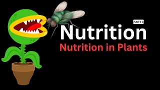 Modes of Nutrition in Plants  Autotrophs Parasites Saprophytes and More [upl. by Haines]