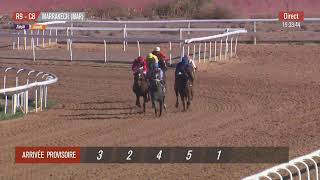 Live Hippodrome « MARRAKECH »  Courses du « 25122023 » [upl. by Trah190]