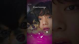 🥰V AND HIS DOG🥰💞EN NEJIL ERINAAYE EN VAAZHVAI NE MAATRINAAI 💞 [upl. by Beverle]