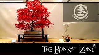 The Toronto Fall Bonsai Show Oct 2018 [upl. by Anelrats87]