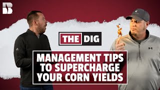 Management Tips To Supercharge Your Corn Yields  The Dig [upl. by Kentigerma931]