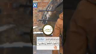 QURAN QALBIGA DEJINAAYO BARASHADA QURAANKA [upl. by Falito]