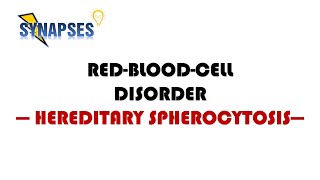 Hereditary spherocytosis pathology symptoms diagnosis treatment [upl. by Kaspar21]