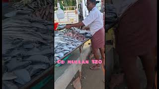 Mean kachavadamreels fish kachavadam uppaummakkalum 935  reels  videos [upl. by Oer]