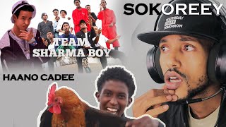 Sharma Boy X Haano Cadee SOKOREEY Ft ArimaHeena Reaction [upl. by Annaillil97]