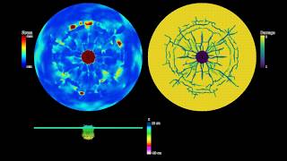 LAMMPS Example Peridynamics  Brittle shock impact [upl. by Xena]