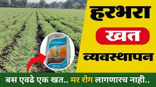 हरभरा खत व्यवस्थापन  harbhara khat niyogen  हरभरा खत नियोजन हरभरा [upl. by Caneghem]